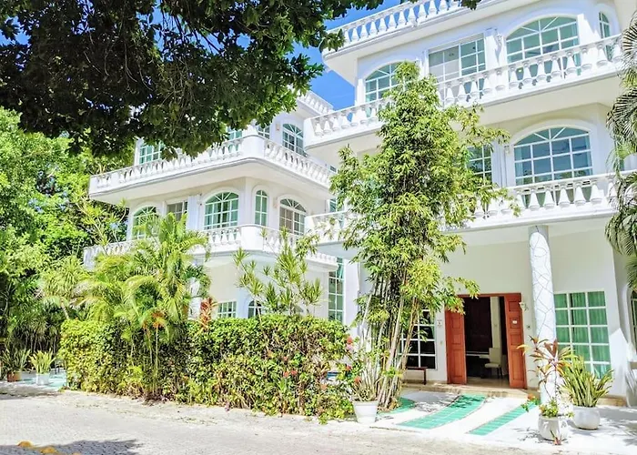 3Br Phouse Rooftop Terrace With Plunge Pool And Ocean View Walk To Beach 5Th Ave And Cozumel Ferry